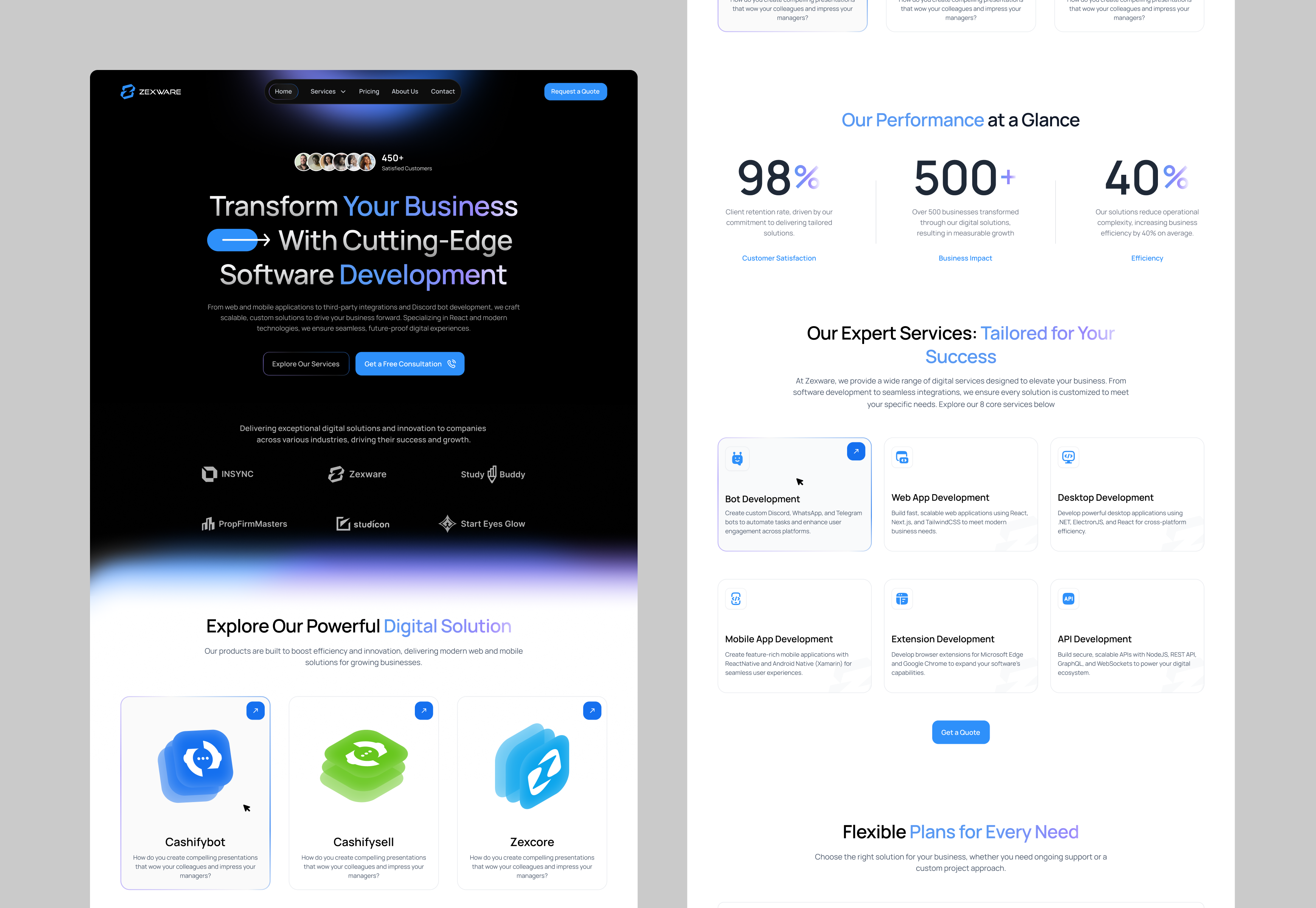 Software Development Company project design by Ahmed Jamal